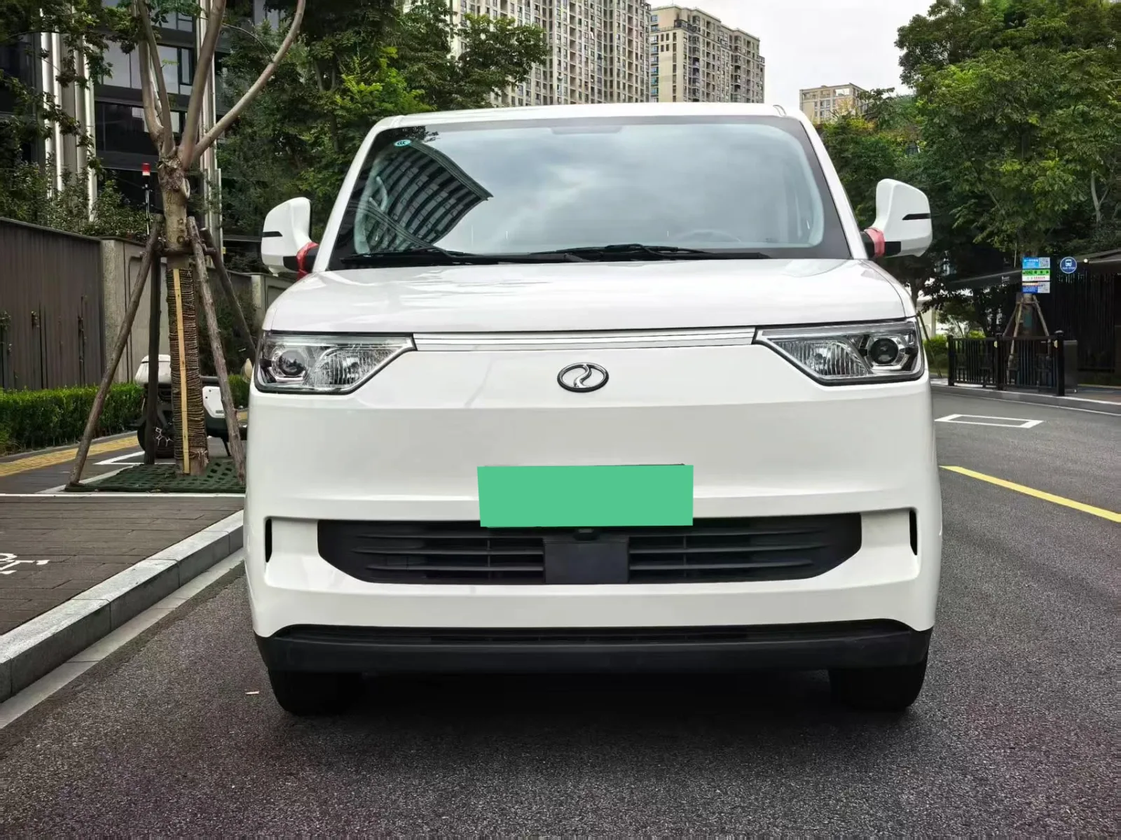 RuiChi EC75 Electric Panel Van