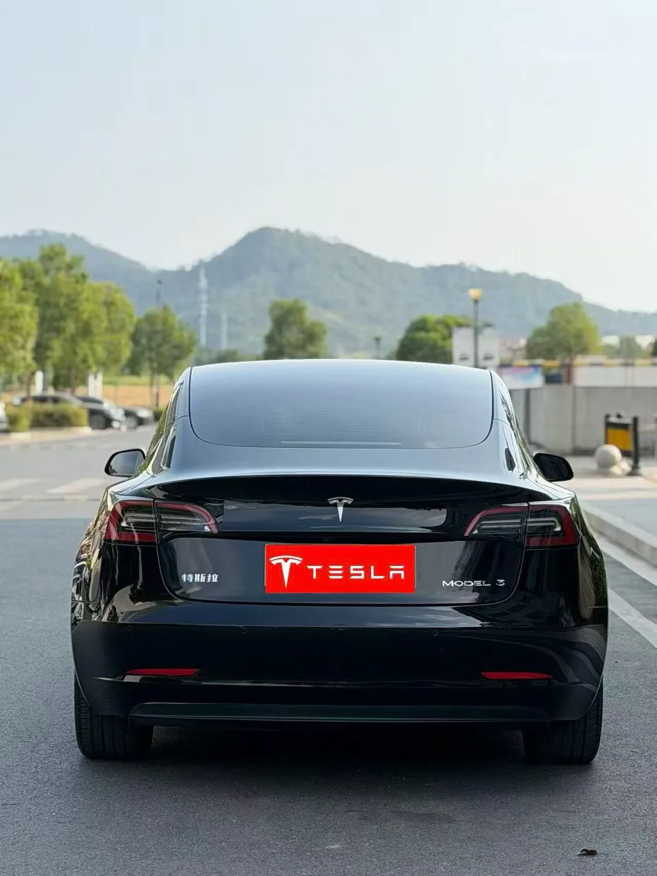 Tesla Model 3 纯电轿车