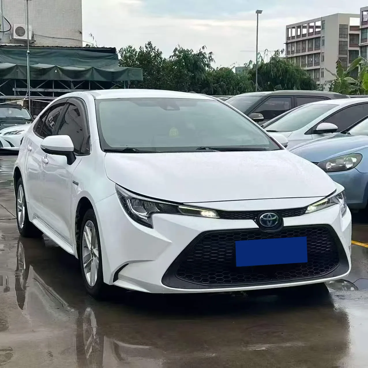 Toyota Levin Hybrid