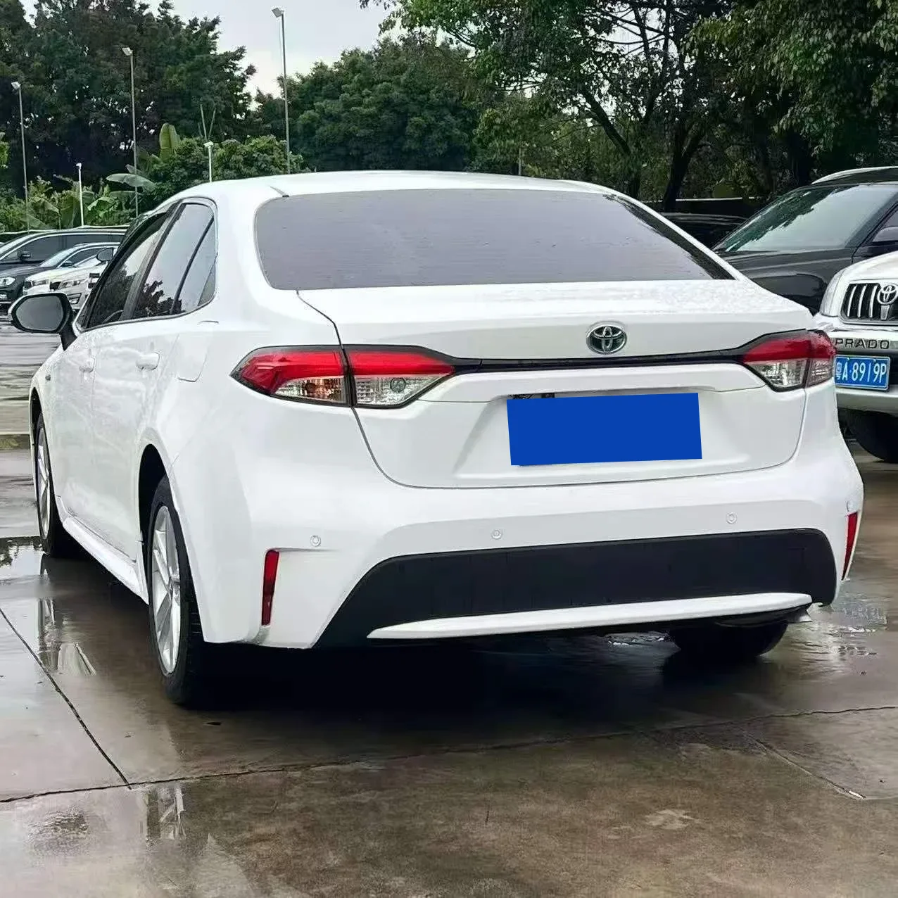 Toyota Levin Hybrid