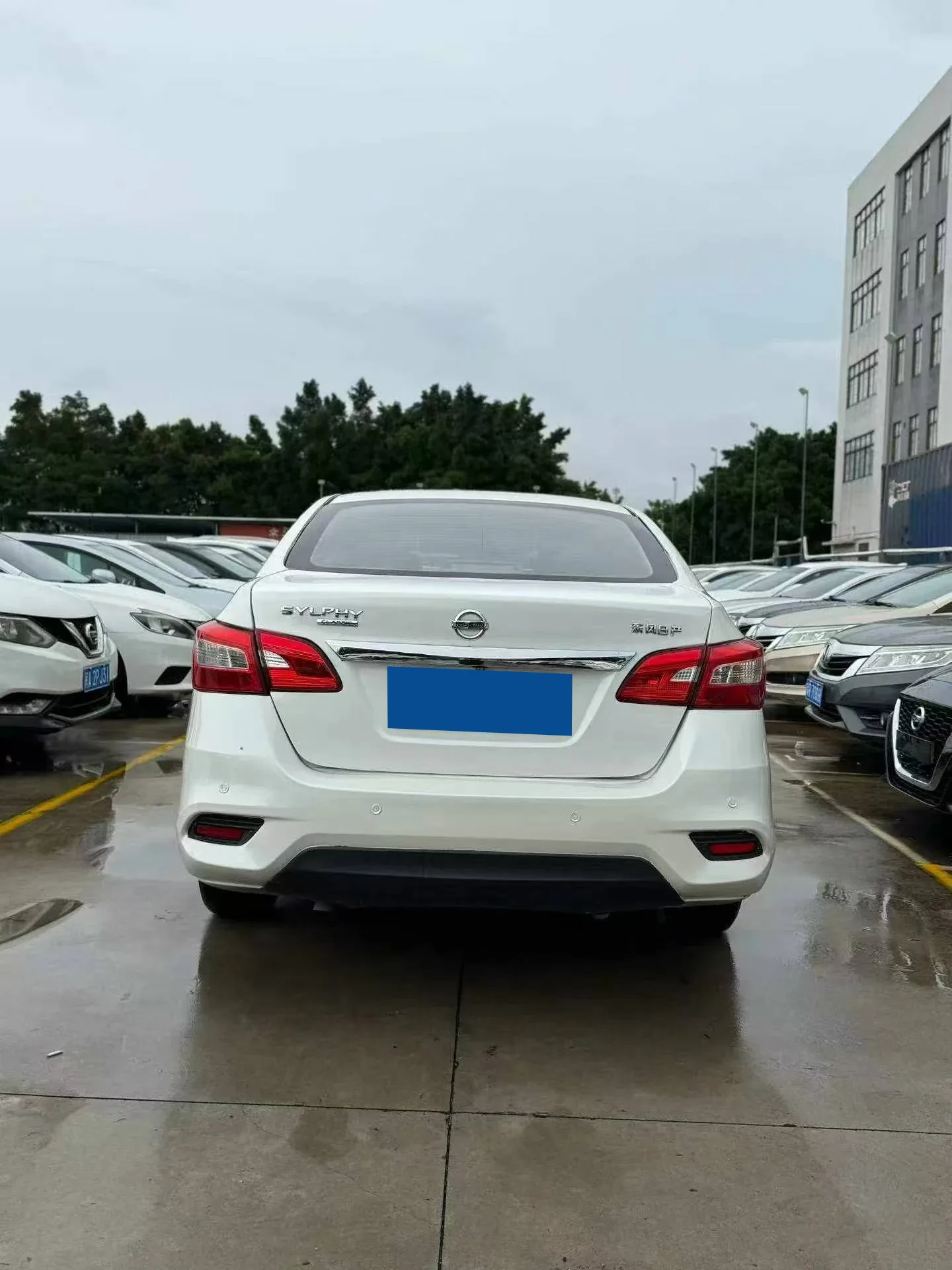 Nissan Sylphy