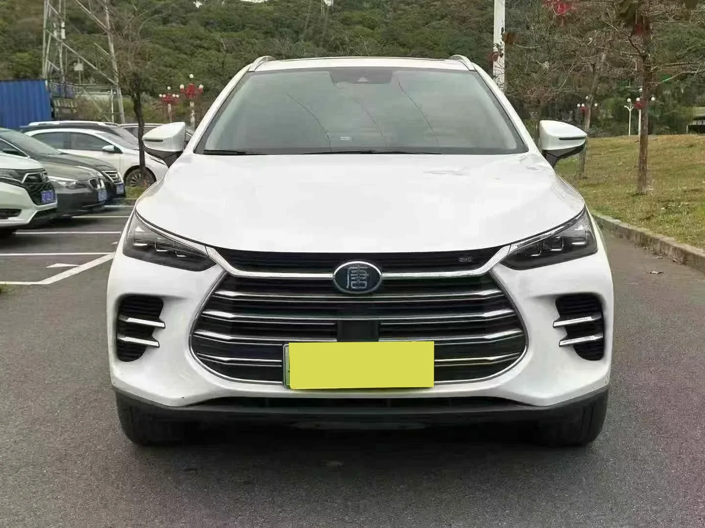 BYD Tang New Energy