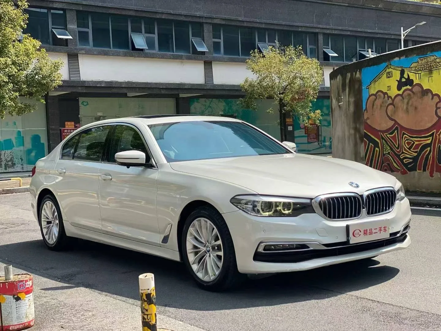 BMW 530Li Sedan