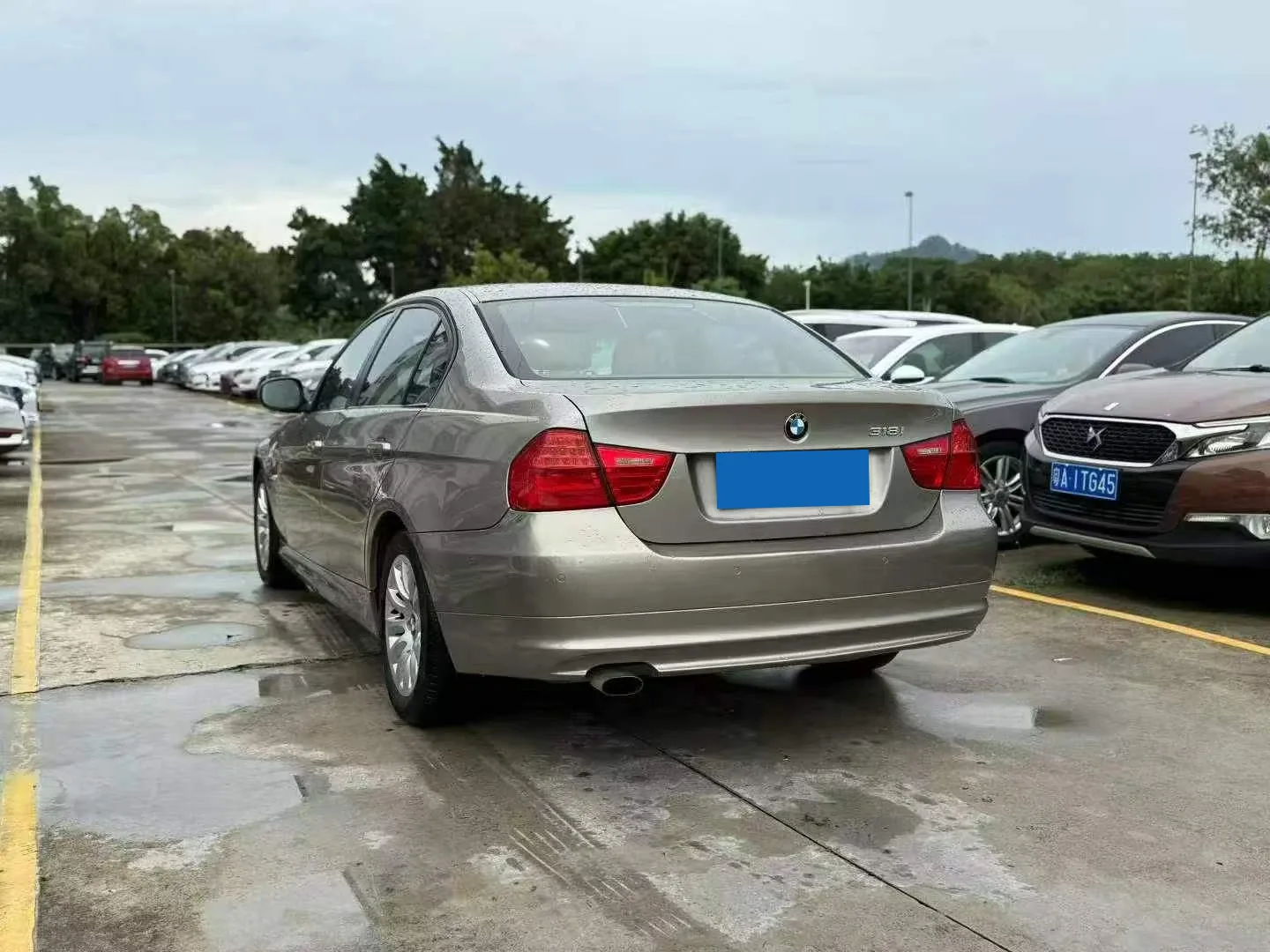 BMW 318i 2009