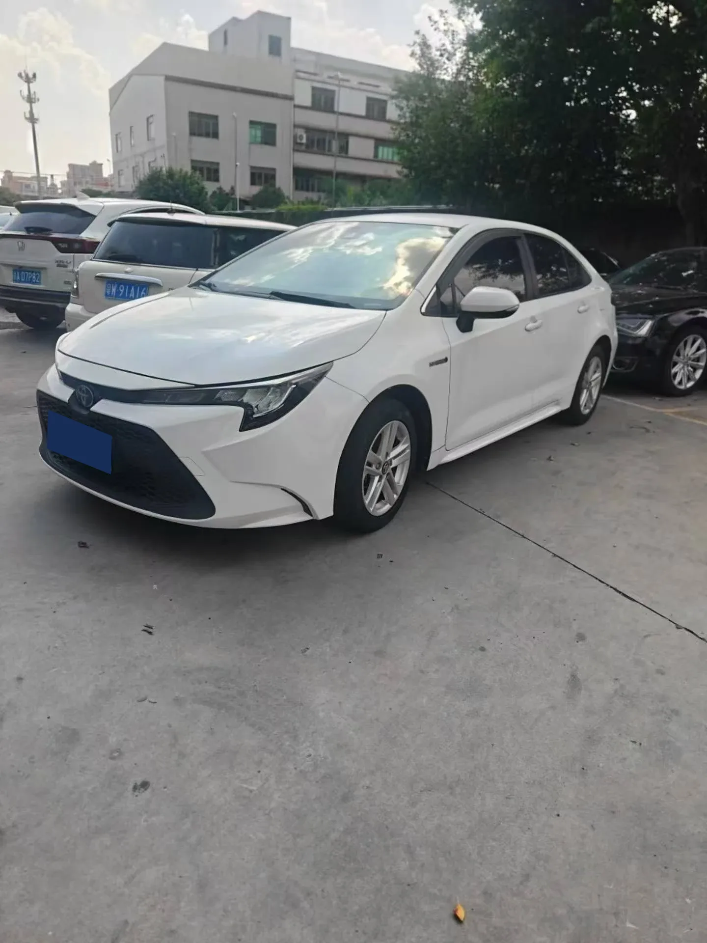 Toyota Levin Hybrid Elite